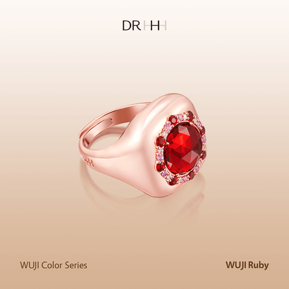DR HHH WUJI Smart Ring 24/7 monitoring with multi-dimensional health tracking